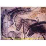 Click para ampliar. Pulsa en el nombre para ver la ficha. Caballos, cueva Chauvet, Francia.